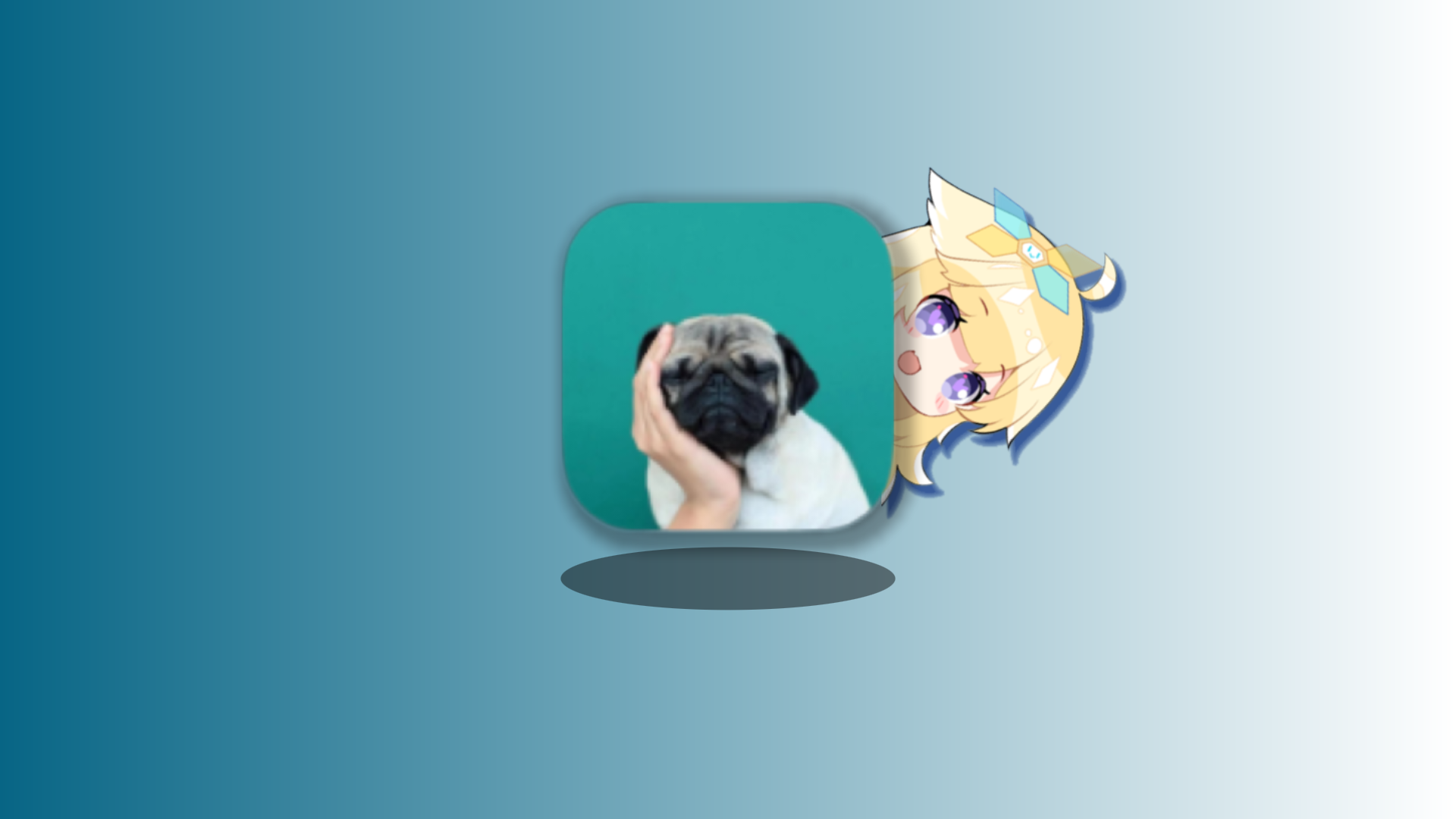 最新养号APP下载——自媒体必备养号工具