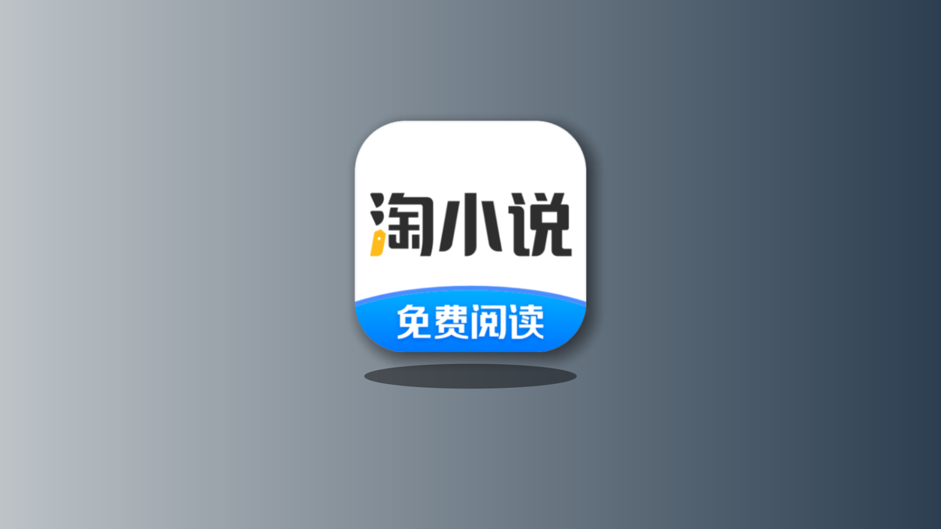 淘小说解锁高级VIP版本-莓乱扔小站